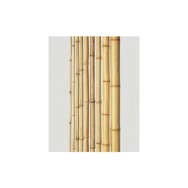 | | VRK| Ӗ| 1950x38~43mm ђ| Tr| ܒ| S}| 1{P