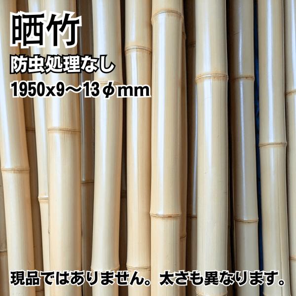 晒竹 meibokuya-shop_sarasitake0061