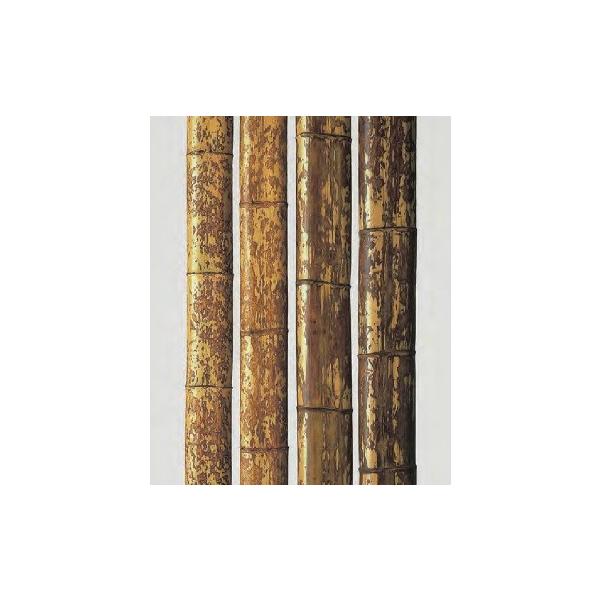 | | }ʕ| h 1950x60`82mm 1{P