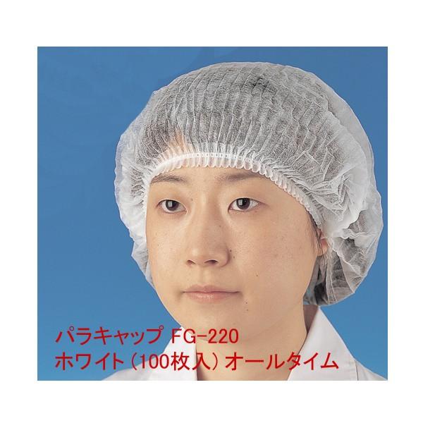 pLbv@FG-220@zCg@(100) I[^C