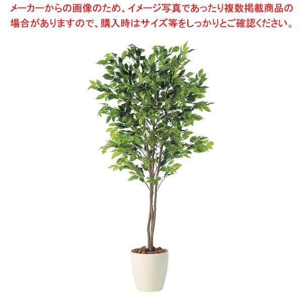 SG xW~i XvbVgv 90712 2.0mylH 蕨 ~[pi     ~[pi     Ɩpz