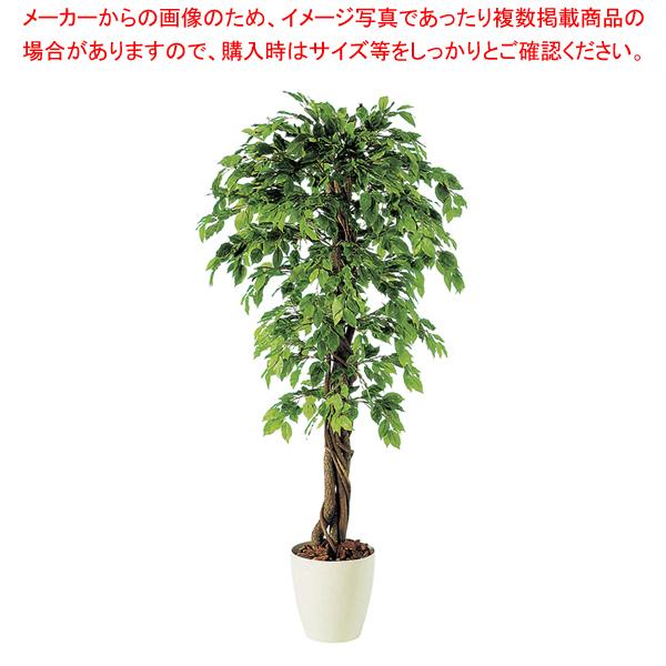 SG xW~i XvbVAi 90716 1.8mylH 蕨 ~[pi     ~[pi     Ɩpz