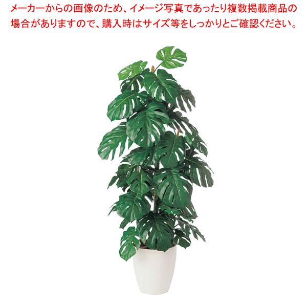 SG Xe 90762 1.4mylH 蕨 ~[pi     ~[pi     Ɩpz