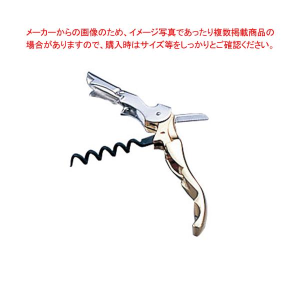 v^bvX \GiCt SX200GD S[h