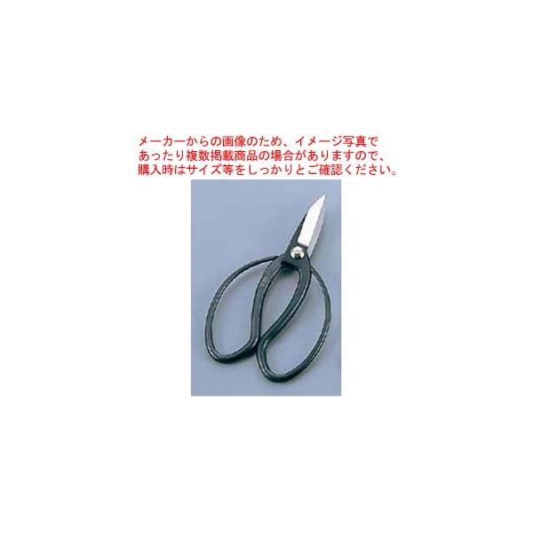 |pnT~ v 180mm