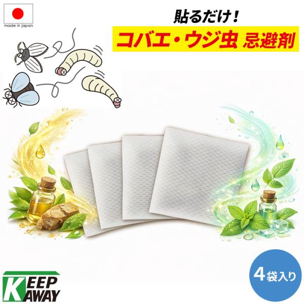 コバエ・ウジ虫対策 蠅 ハエ 蛆虫 うじ虫 忌避剤 貼るだけ簡単 天然成分 日本製 室内外対応 ペット 子ども 安心 長持ち 約1ヶ月 4枚入り コバエバイバイ