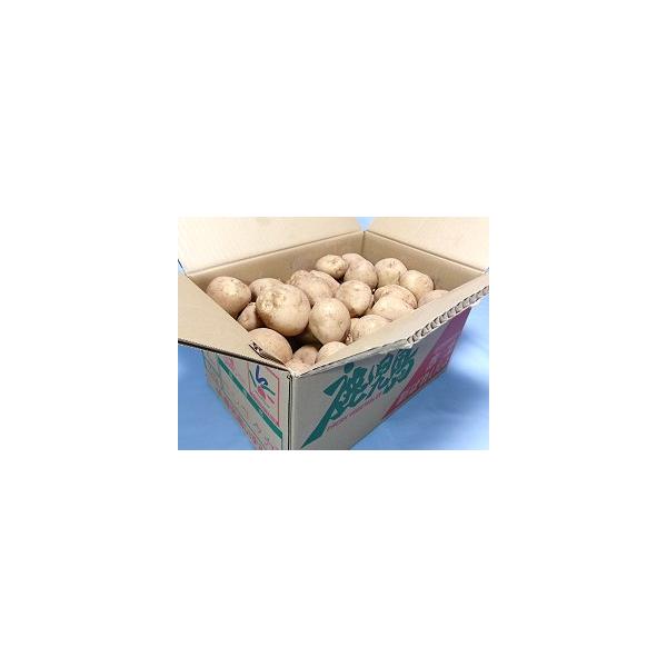 温暖な気候と周囲を囲む海からのミネラルを含んだ潮風のもと、粘土質ながら水はけの良い赤土土壌で栽培される鹿児島県長島産の新じゃがいも「赤土バレイショ」は、皮は薄く剥きやすく、粘りがあり、煮崩れし難くほんのりと甘さを感じる味わいで、煮物に最適な...