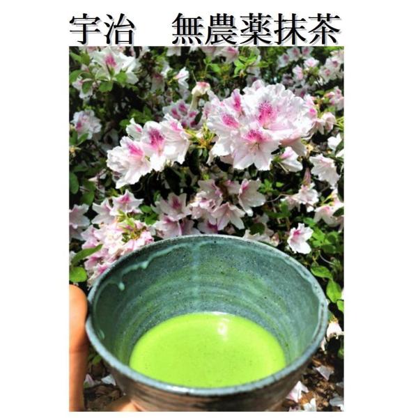 【ネコポス便】宇治無農薬有機抹茶25g 袋入