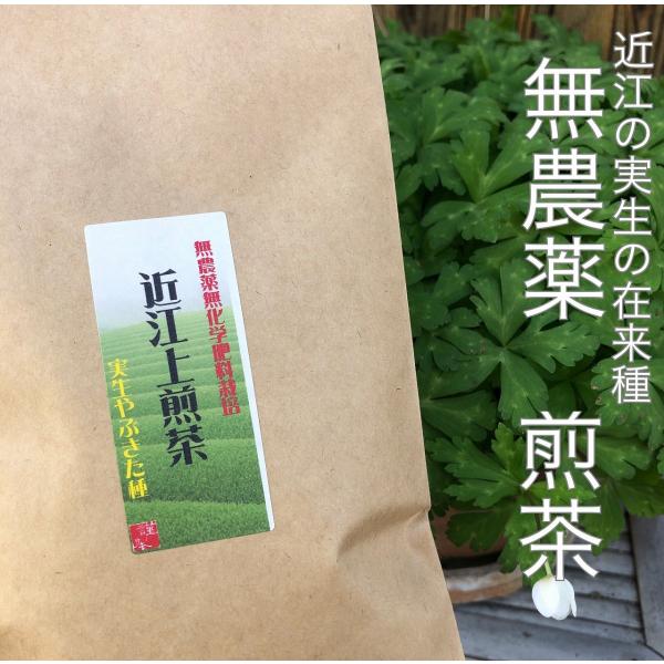 近江上煎茶　無農薬・無化学肥料　安心　安全　おいしい　国産　エピガロカテキンガレート　有機