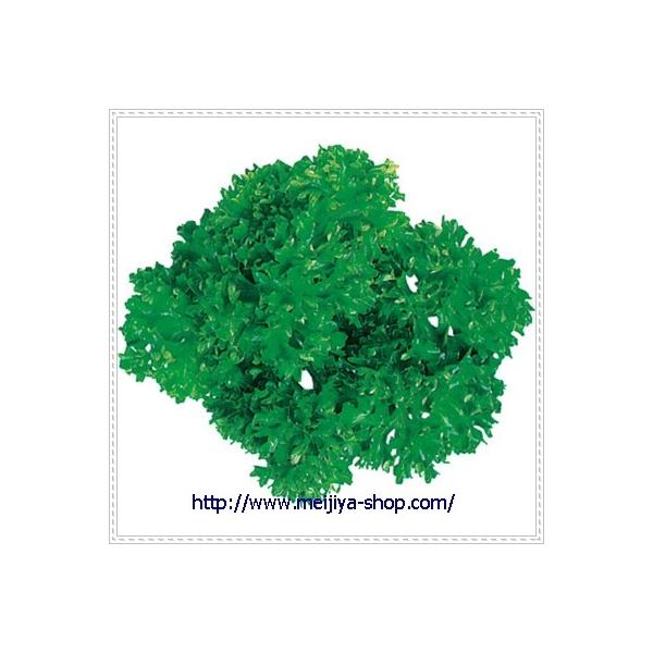 グルメシート　パセリ　丸　（１００枚包装）×１袋クオリティの高い印刷を施した透明のフィルム。ドリップや汚れに強く、季節感の演出、料理・盛付けのアクセントに活躍します。生葉に比べて安くて経済的、水洗いの必要や腐敗の心配もなく衛生的です。印刷面...