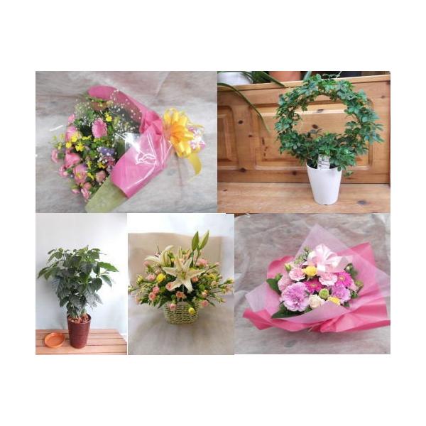 ※徳島市周辺に　３5００円(税込み3850円の商品をお届け！　（生花アレンジ・花束・鉢植えなど）