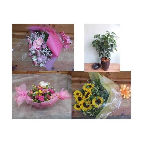 sɂ̂݁@TOOO~(ŁA݂TTOO~)̏i͂II@ԃAWEԑEAȂ