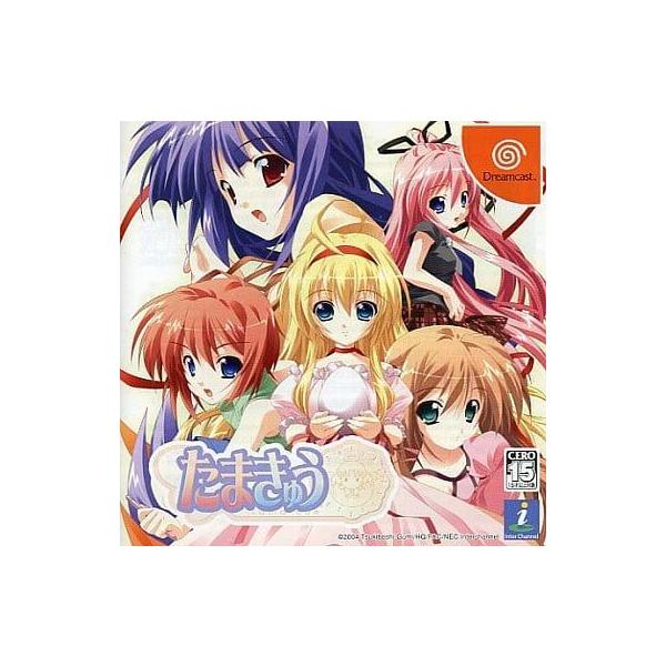 ■商品説明【ページ内の写真・画像はすべてサンプルです】箱、説明書類、付属品全て欠品。カートリッジまたはディスクのみとなります。古い製品の場合、軽度の傷み、汚れ、書込み、退・変色、変形・割れ等がある場合がございます。当店基準で、軽度以下のダメ...