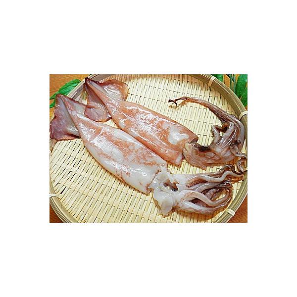 ●商品内容・名称 丸干しいか・正味重量１杯当り：約８０ｇー１２０g（頭の先から足の先までの体調:約２５ｃｍ)「冷凍配送」・賞味期限：冷凍４週間、冷蔵３日。美味しく召し上がって頂くため出来る限り早く召し上がり下さい。・原材料名：するめいか(ニ...