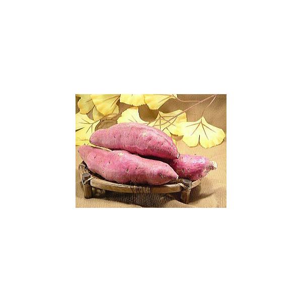 さつまいも 訳あり」の人気商品一覧 | 安い商品を通販サイトから