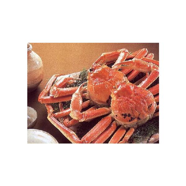 {C YCKj p 킢 p gT YCI Ⓚ 킢I ʔ Ⓚ YCKj 킢 킢Jj YCI YCJj Jj ɓ I 