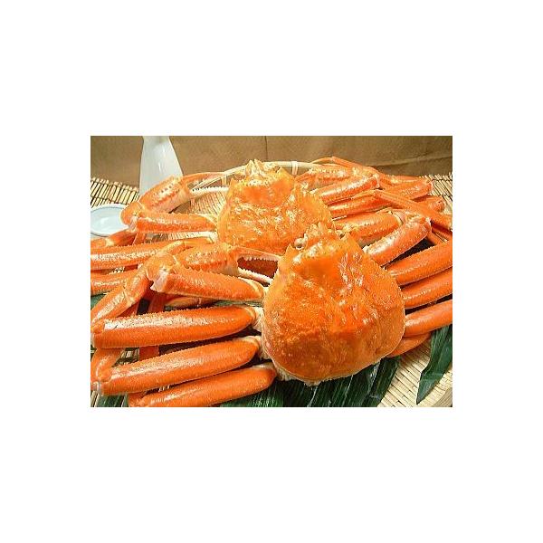 {C YCKj p 킢 p gS YCI Ⓚ 킢I ʔ Ⓚ YCKj 킢 킢Jj YCI YCJj Jj ɓ I ##