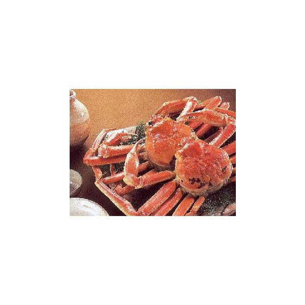 ZCRKj A  Tt MTCY 킯EPAE󂠂i@ď̂̓ZRKj I I eKj XKj ZRJj