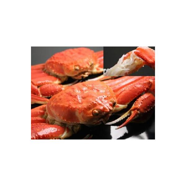 zOKj ʔ 䌧 zOI 킢I  zOJj zO QLTCY Pt  zO ʔ  zOKj pɂ G`[Kj