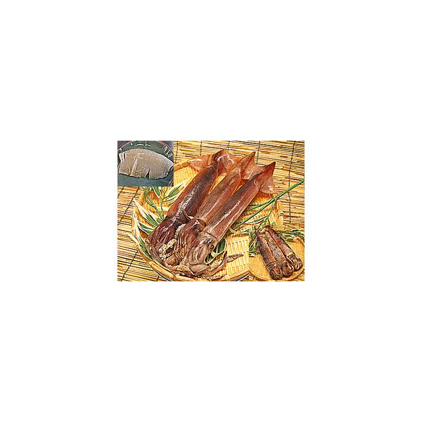 ߂ Tt {CY߃CJ@D}ⓀCJőNxQ@̂hgEhpɂ VNⓀXCJ ʔ