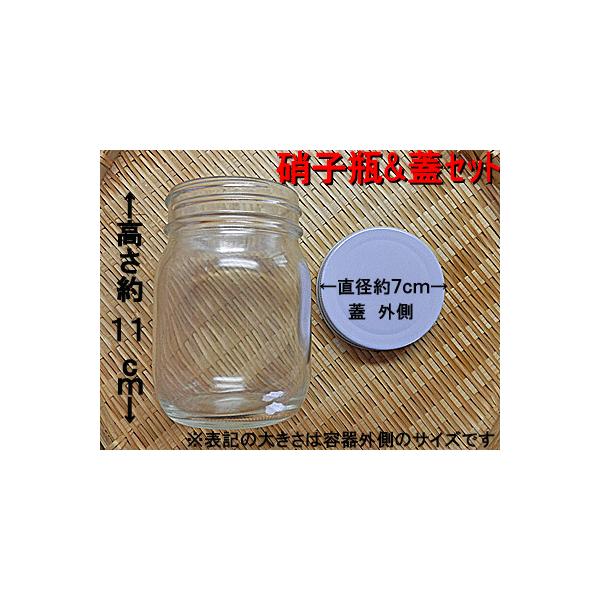 KX r e 373ml×24 TCY Hi KXۑe KX ۑ r KXr KX ۑe KXrʔ ۑr rl