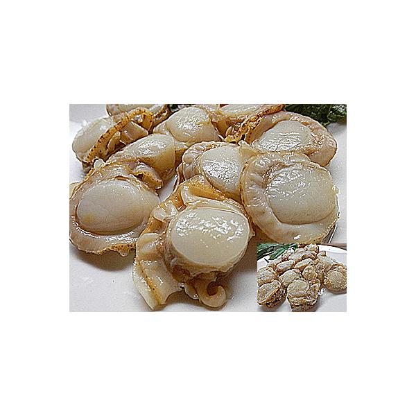 z^e xr[ xr[ق Pg xr[z^e z^e tL  L z^e {C ̗Ⓚi L hgp z^eL 𓀌 ق hgp