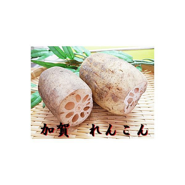  ꃌR 600g  񂱂 @ ` ΐ쌧Y ΐY Y Y {Y