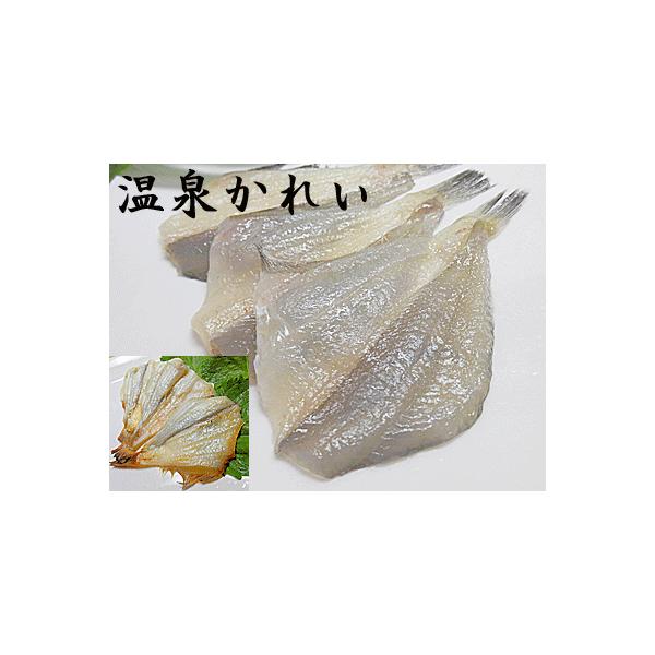 温泉かれい １ｋｇ×1個入り 温泉カレイ 温泉 カレイ 宗八カレイ 干物 干し魚 朝食 酒の肴 に 国産 国内産 日本産