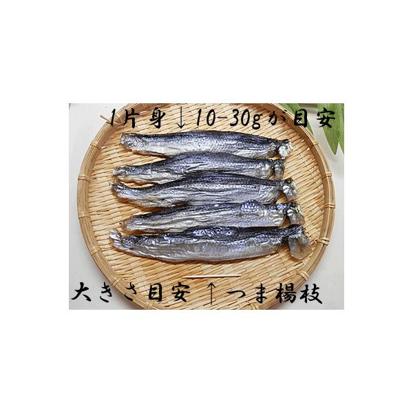 本乾き 身欠きニシン 500g入 本 乾燥 身 欠きにしん 鯡 鰊 みがき にし ん 本乾燥 乾き 本 干し 干物 | 越前名産工房 ...