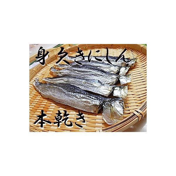 { gjV 500g(500g×1) {  g ɂ   ݂ ɂ  {  {  