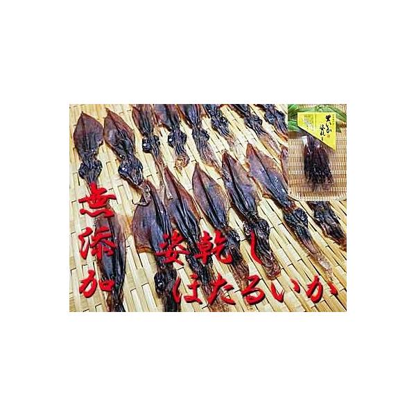 ق邢 f 22g×10ܓ Y F z^CJ  قCJ z^ uϊ  u p Y {Y