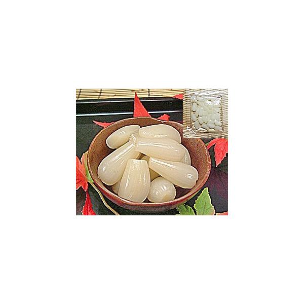 Mtgp 傤 |Ђ 70g×6ܓ Y Ð| 傤Ђ Zbg wY  YbLE 䌧Y Ol  ԃbL