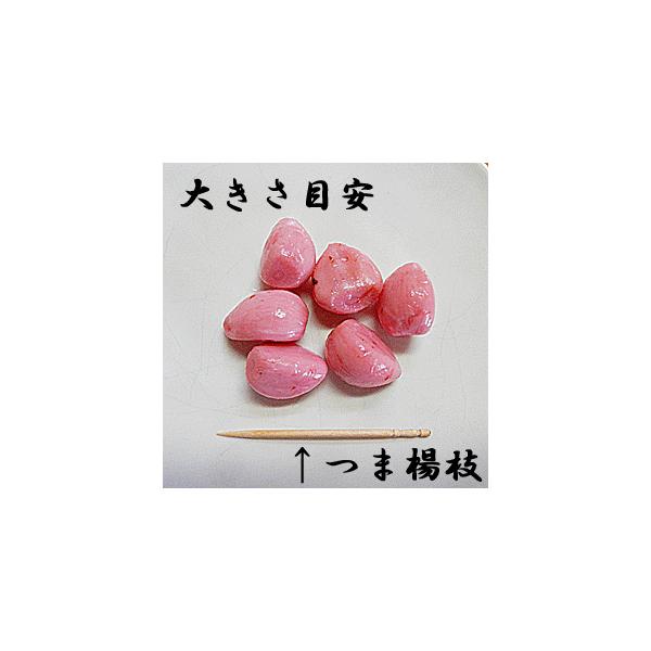 にんにく漬け しそかつお 4袋入 メール便 ネコポス ニンニク漬け通販 にんにく漬け にんにく ニンニク 漬け 漬 Buyee Buyee Japanese Proxy Service Buy From Japan Bot Online