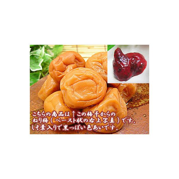 ~ ˂~ t T  Ɩp ~ 󂠂i ˂~  ~ ~ 䌧Y ~ ˂肤 ̂Ȃ̉Ђłς  ~ y[Xg