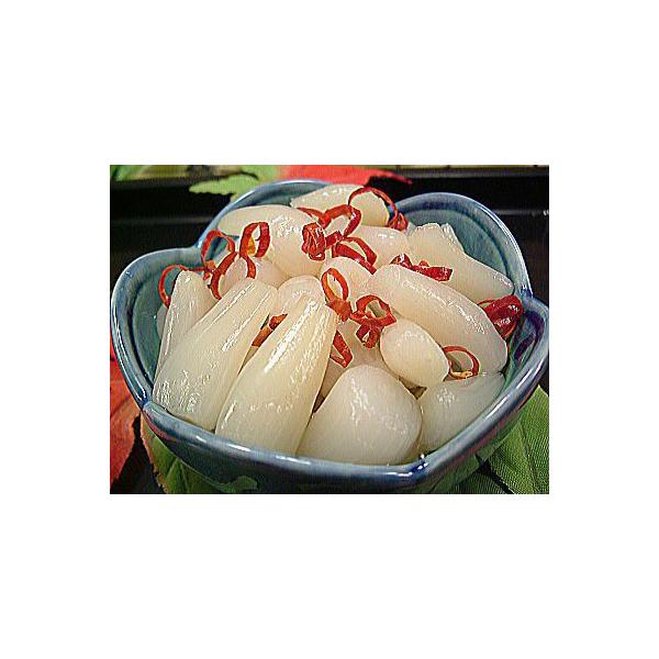 国産 福井県産ラッキョウ 土付きらっきょう ５ｋｇ 3年堀 土らっきょう らっきょ 生らっきょう 泥付き ドロ付 花ラッキョ 福井産 生 ラッキョ 日本産 国内産 Buyee Buyee Japanese Proxy Service Buy From Japan Bot Online