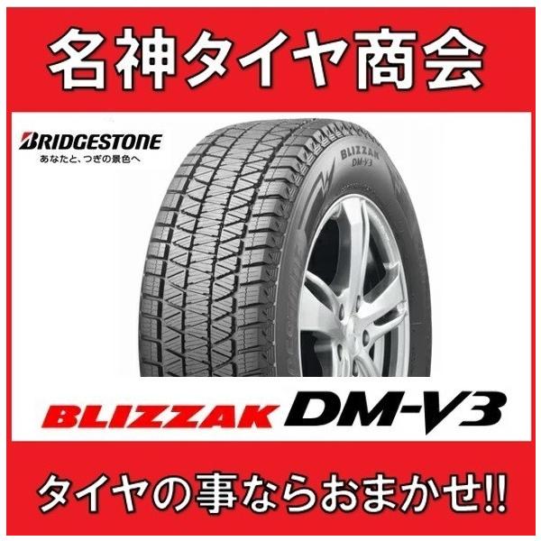 235/50R20 100Q ブリヂストン ブリザック ディーエムブイスリー