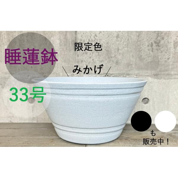 睡蓮鉢(メダカ鉢) プラスチック製 33号 : MEIWACO Yahoo 睡蓮鉢(メダカ鉢) プラスチック製 33号 : MEIWACO Yahoo