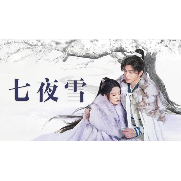 日本語字幕 中国ドラマ 華ドラ「七夜雪」DVD Blu-ray BOX 全話収録