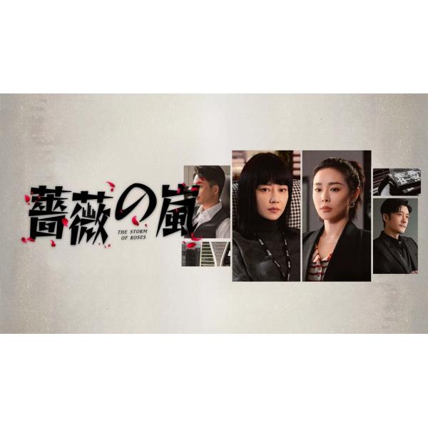 日本語字幕 中国ドラマ 華ドラ「薔薇の嵐」DVD Blu-ray BOX 全話収録