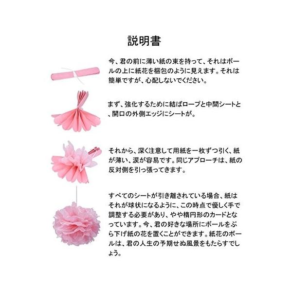 Recosis ペーパーフラワー フラワーポンポン ハニカムボール 飾り付け 結婚式 誕生日 飾り付け 紙花 ディープピンク ピンクとホ Sagaretxe Net