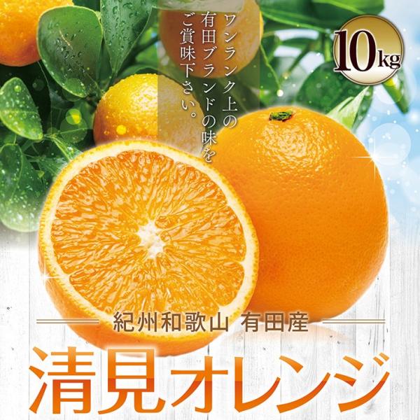 和歌山　清見 オレンジ　甘い　10kg 楽天市場】きよみ 10kg入り【送料無料】清見 オレンジ 和歌山