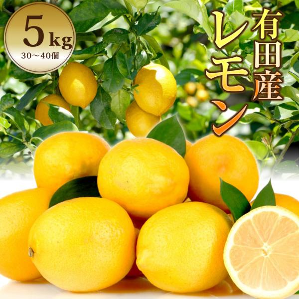 【商品】フルーツの国、有田産レモン【内容】5.0kg入【賞味期限】生ものですので、お早目にお召し上がりください。【保存方法】冷暗所【原材料】レモン【産地】有田産【品質管理】当店では品質管理に万全を期すため人手をかけ レモンを１つ１つ箱詰めし...