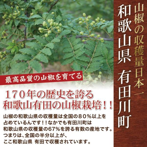 冷凍 山椒 山椒の実 生 紀州和歌山 特産 産地直送 ぶどう山椒 500ｇ 実山椒 国産 調味料 スパイス 生山椒 おいしい Buyee Buyee Japanese Proxy Service Buy From Japan Bot Online