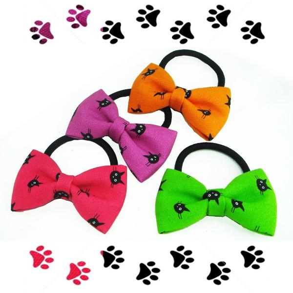 wAS L{twAS wAANZT[ LbY q ǂ