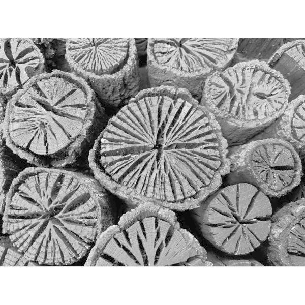菊炭 12kg 森の切り炭 黒炭 椚くぬぎ 炭等級1級 愛媛大洲産 伊予の小京都 消臭 調湿効果 インテリア ガーデニング フラワーアレンジメント Mo Mk 181 メロウストア 通販 Yahoo ショッピング