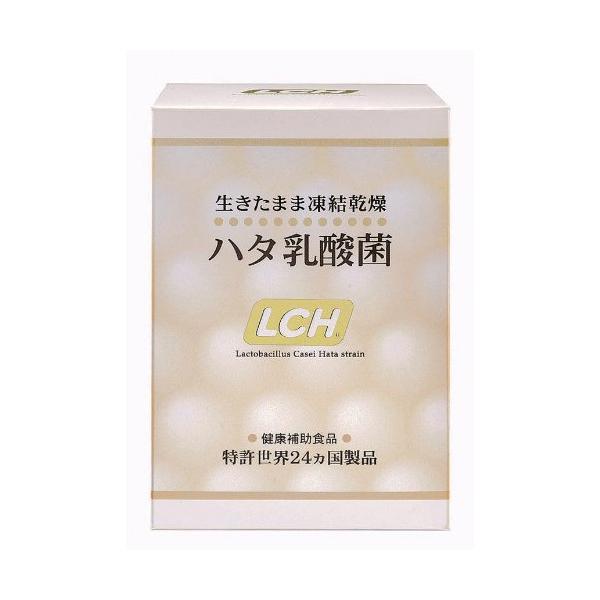 ハタ乳酸菌　栄養補助食品 お試し 1週間分 ハタ乳酸菌 2g×7包 腸活 乳酸菌 メール便可 : メロディ