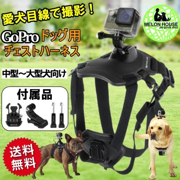 犬用 Goprohero 専用ハーネス Hero9 8 7 6 5 4 3 3用対応 犬目線撮影 Gopro Dog メロンハウスペットグッズ 通販 Yahoo ショッピング