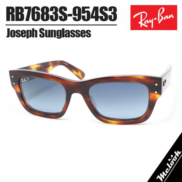 Ray-Ban（レイバン） RB7683S-954S3-55 偏光サングラス 日本国内正規品