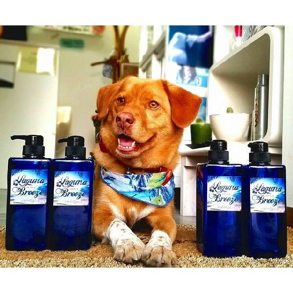 mVR@Laguna Breeze@Oiu|YVv[@{g@600ml