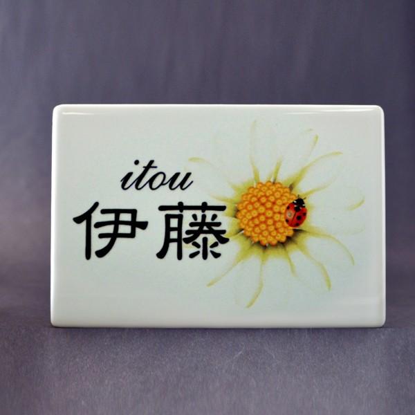 \D   ԕ Vv ˌ 和 v[g \邾ȒP 15x10cm